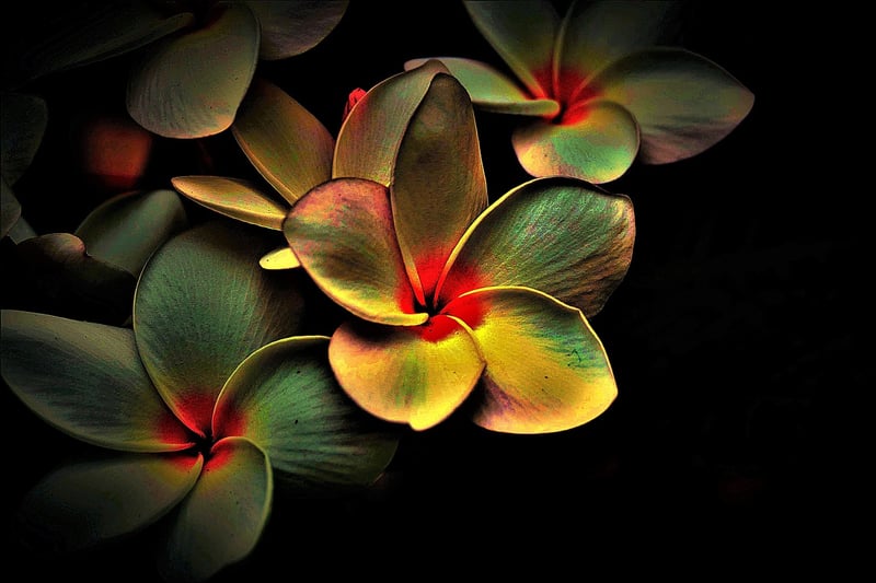 Therapeutic Dance Image